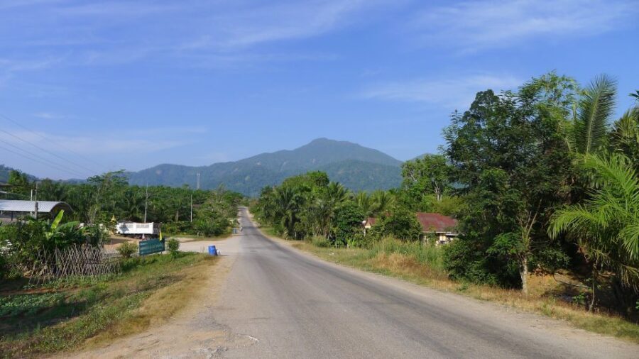 Krabi: Elephant Care House Guided Tour with Hotel Transfers - What To Expect on the Tour