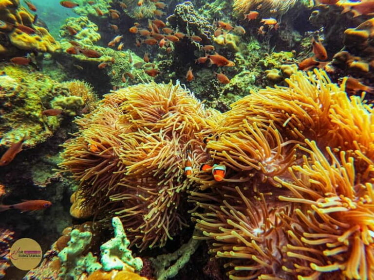 Krabi: Hong Islands Sunset, Bioluminescent Plankton and BBQ - First Stop: Ko Lao Lading for Photos and Swimming