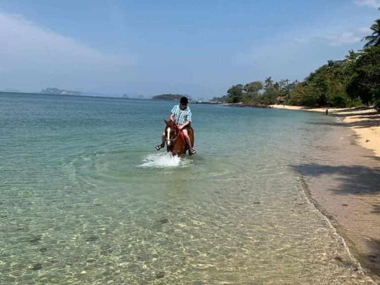 Krabi: Horse Riding On Klong Muang Beach - The Scenic Trail and Beach Arrival