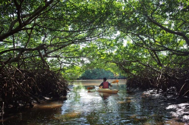 Krabi kayaking Ao thalane - Authentic Feedback and Practical Tips