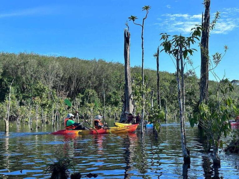 Krabi: Klong Root (Crystal lake) Kayaking tour - Who Will Love This Tour?