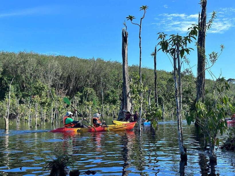 Krabi: Klong Root (Crystal lake) Kayaking tour - Who Will Love This Tour?