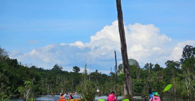 Krabi: South Kayak Klong Root Kayaking Tour - The Logistics: What Travelers Can Expect