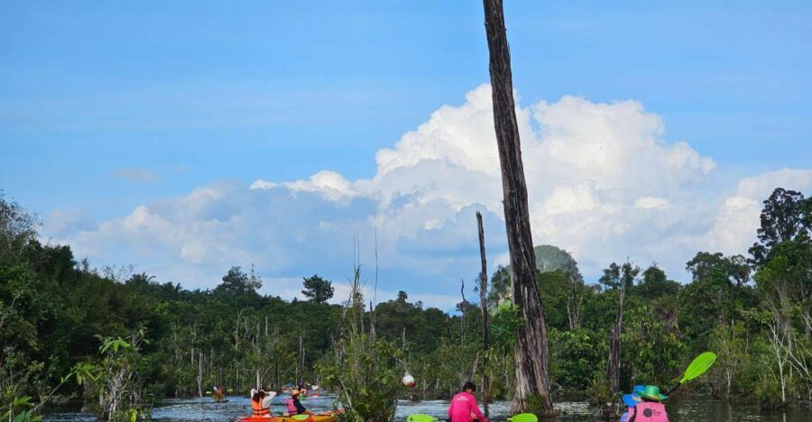 Krabi: South Kayak Klong Root Kayaking Tour - The Logistics: What Travelers Can Expect