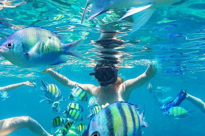 Krabi to Phi Phi Islands by Speedboat - Who Will Love This Tour?
