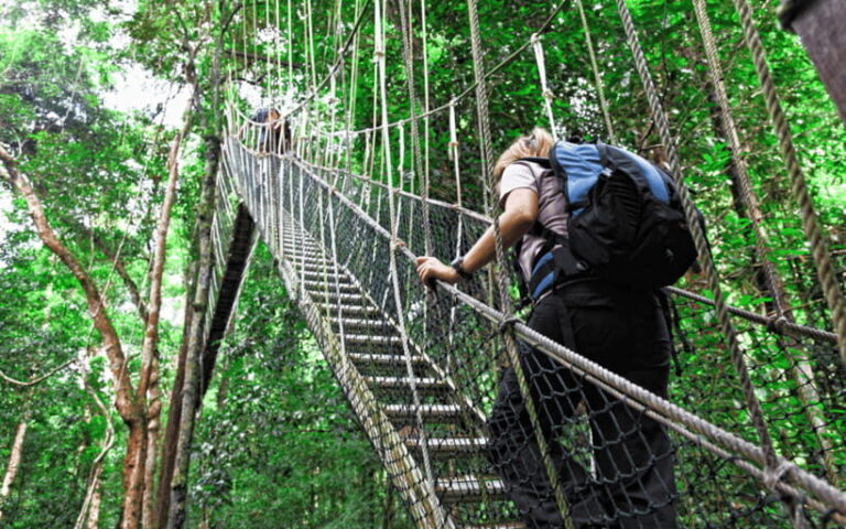 Kuala Lumpur: Taman Negara National Park Teras Waterfall - The Value and Practicalities
