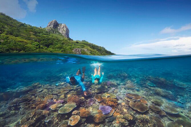 Kuata Island Marine Conservation Experience with Lunch - Who Would Love This Experience?