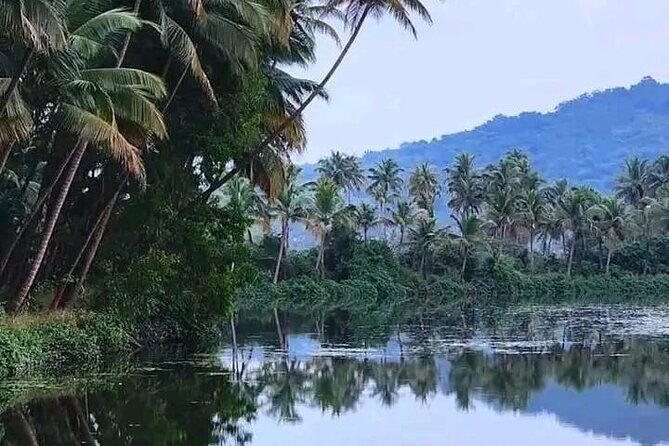 Kumarakom Explore Backwaters & Birds at Coconut Lagoon Pick&Drop - Is This Tour Worth It?