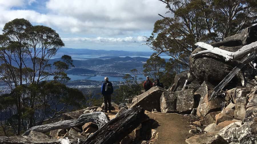 Kunanyi & Mt Wellington Explorer Bus: One-Way Bus Pass - Reaching the Summit: What You’ll See