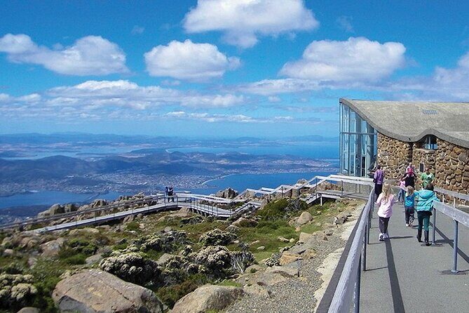 kunanyi/Mt Wellington Tour and MONA Admission - What Travelers Are Saying