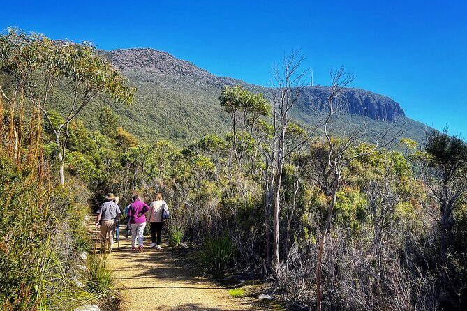 kunanyi/Mt Wellington Ultimate Experience Afternoon Tour - Transportation and Group Dynamics