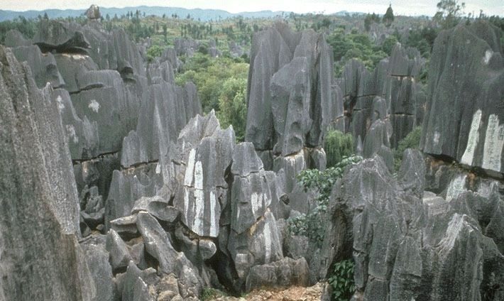 Kunming: Stone Forest Private Day Tour - Walking Experience and Photography