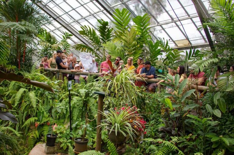 Kuranda: Australian Butterfly Sanctuary - The Sum Up