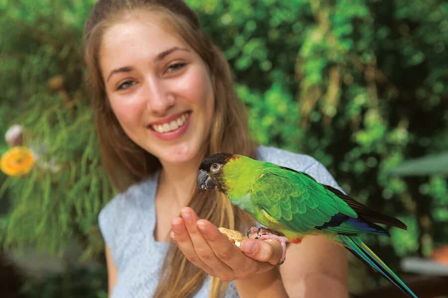 Kuranda: Birdworld Entry Ticket - Final Thoughts: Is Birdworld Kuranda Worth It?