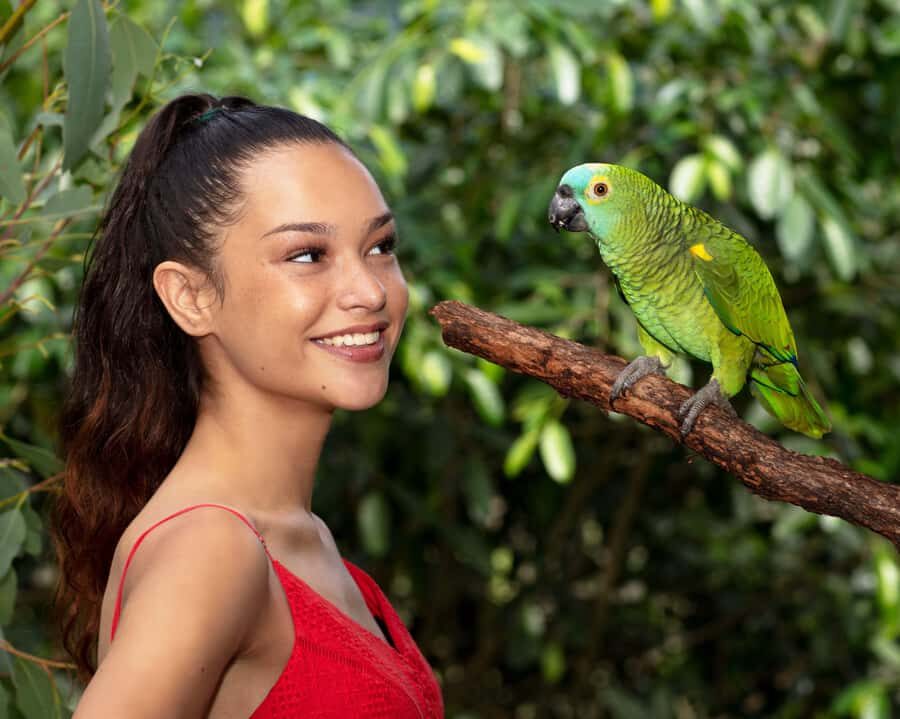 Kuranda by Design, a VIP package experience - Exploring Kuranda Koala Gardens