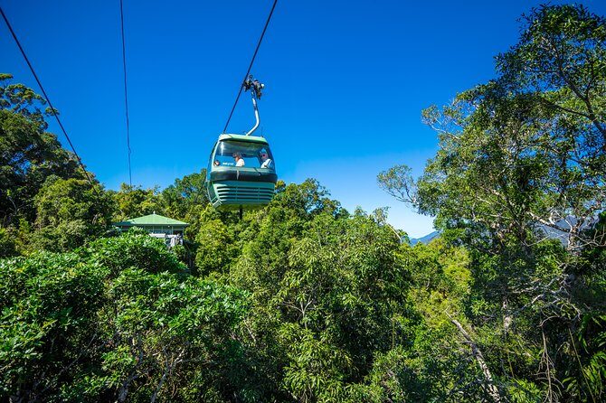 Kuranda Day Tour, TKS-RFS CLASSIC GOLD PLUS 0930 - The Value of This Experience