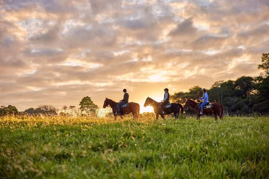 Kuranda Half Day with Petting Zoo & Horse Trail Ride Tour - Arrival at the Farm: Setting the Stage