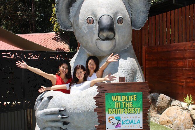 Kuranda Koala Gardens and Birdworld Admission Tickets - Authentic Experiences from Visitor Feedback