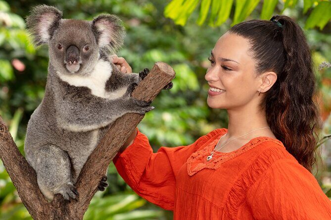 Kuranda Wildlife Experience Deluxe Multi Attraction Pass - Practical Details and Tips