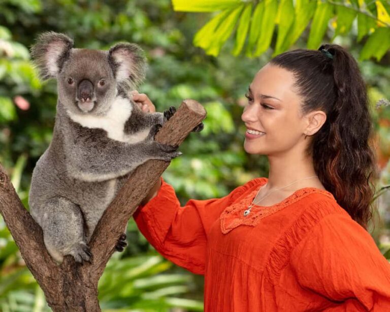 Kuranda Wildlife Experience: Koalas, Birds & Butterflies - In The Sum Up