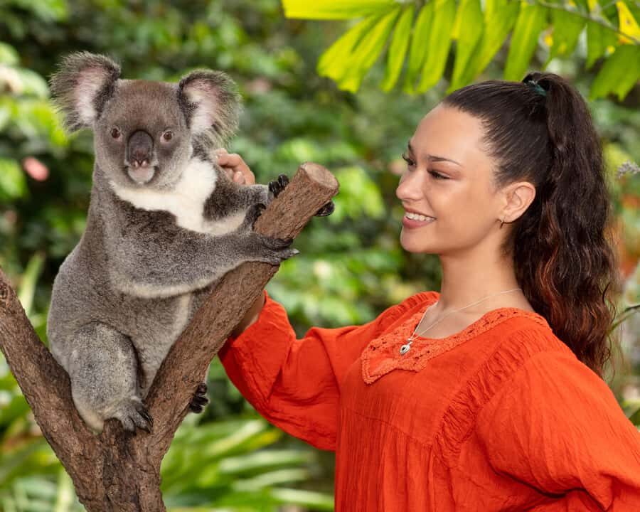 Kuranda Wildlife Experience: Koalas, Birds & Butterflies - In The Sum Up