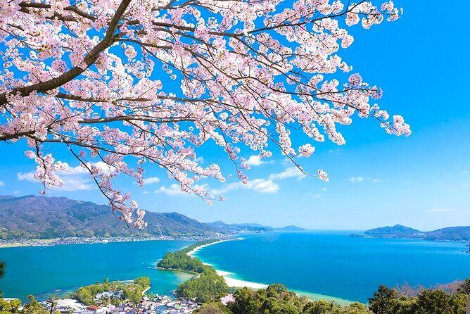 Kyoto Amanohashidate and Ine No Funaya Tour from Osaka - Authentic Experiences & Traveler Feedback