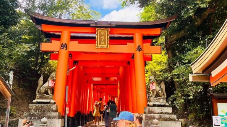 Kyoto and Nara Customised Full Day Private Tour with Pickup - What Travelers Say