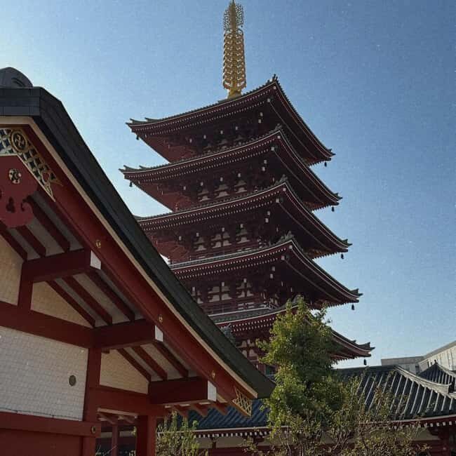 Kyoto and Nara: Private Tour with English speaking Guide - The Sum Up