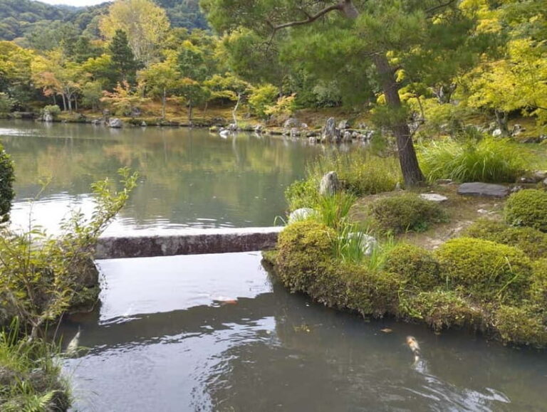 Kyoto: Arashiyama Bamboo Forest and Nijo Castle Private Tour - What You Can Expect from This Private Tour