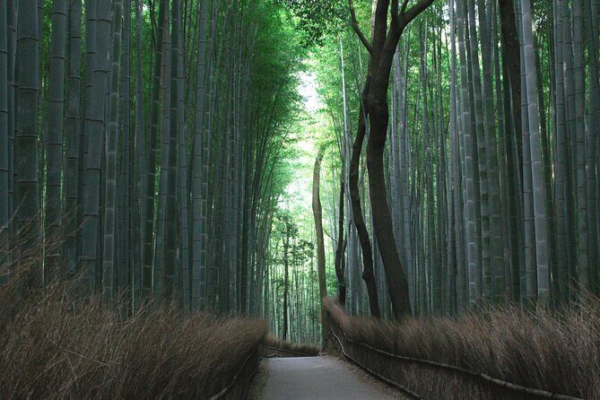 Kyoto Culinary Tour with a Chef! - Final Thoughts