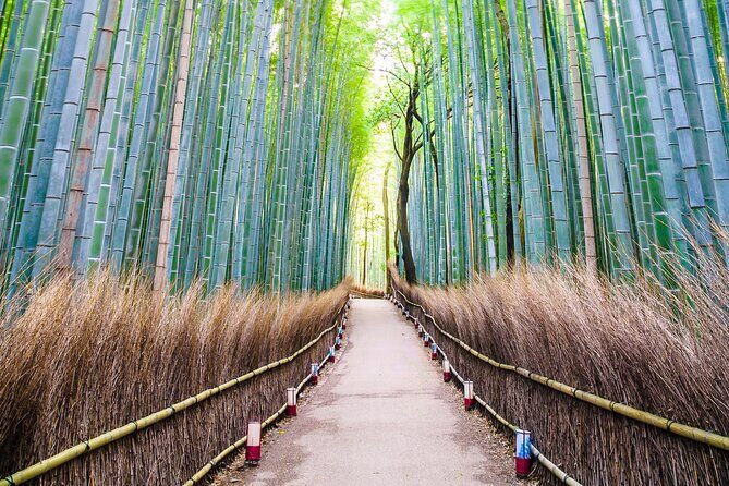 Kyoto Customized Private Tour with English Driver & Hotel Pickup - What’s Included & What’s Not
