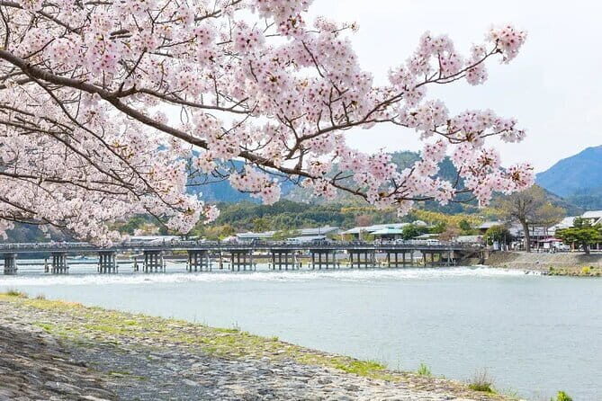 Kyoto Exclusive Private Tour with Vehicle & Professional Guide - What Travelers Say & Why It Matters