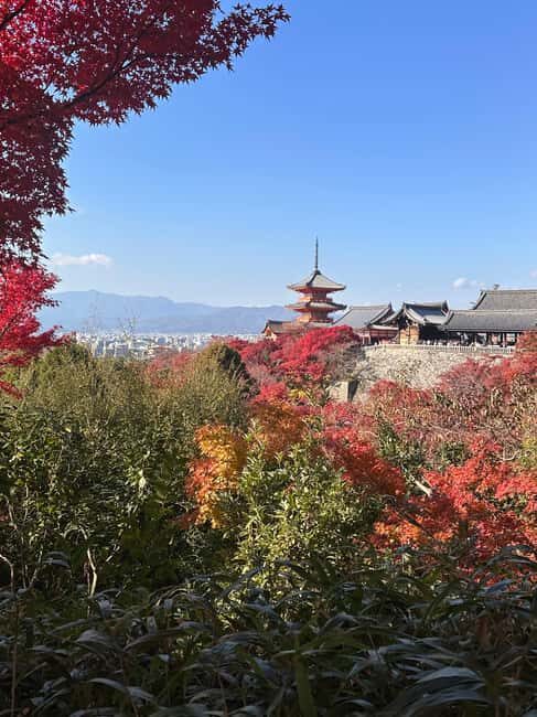 Kyoto: Kiyomizudera, Sanjusangendo, Kodaiji, and Gion. - Practical Details: What to Expect