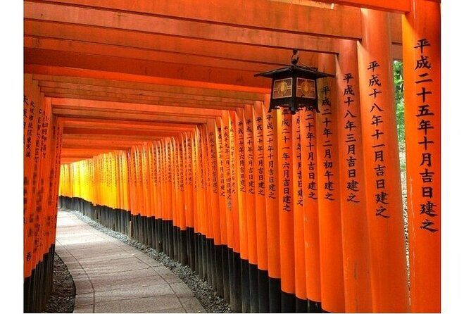 Kyoto & Nara 1 Day Private Charter Car Tour from Osaka or Kyoto - What Travelers Say