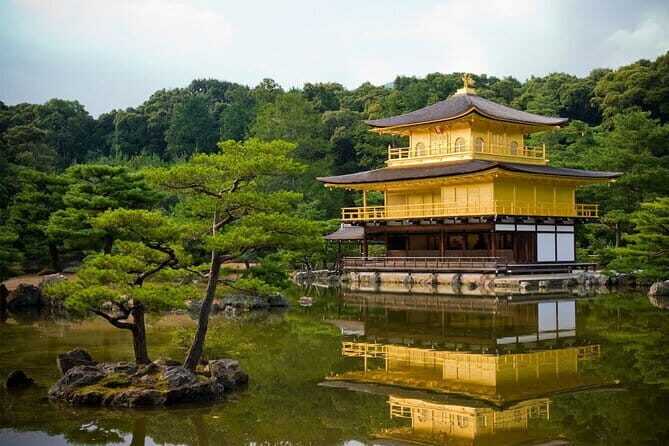 Kyoto & Nara Day Tour: Golden Pavilion, Fushimi Inari & Deer Park - Considering the Experience