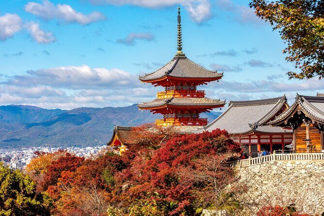 Kyoto & Nara Small Group Day Tour from Kyoto - Price and Value Analysis