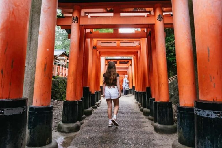 Kyoto: Nijo Castle, Arashiyama, Kiyomizu & Fushimi Inari - The Practicalities — What to Expect