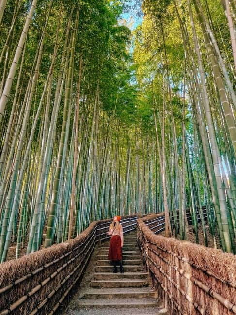 Kyoto: Private Customizable Day Tour with Guide and Vehicle - FAQ: Your Practical Questions Answered