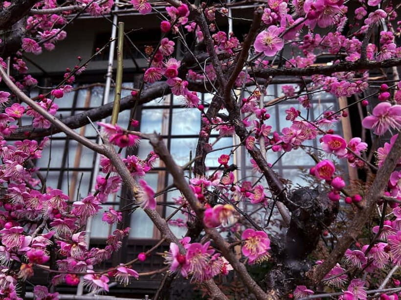 Kyoto: Silver Pavillion Guided Walking Tour - The Sum Up