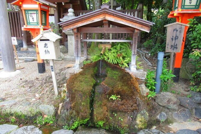 Kyoto: Temple Yoga, Tour of Four Spring Waters & Nourishing Lunch - Who Will Love This Tour?