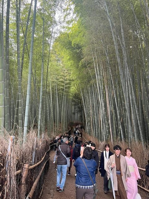 Kyoto: The Heart of Arashiyama, Bamboo Forests and Sacred Temples - The Practicalities