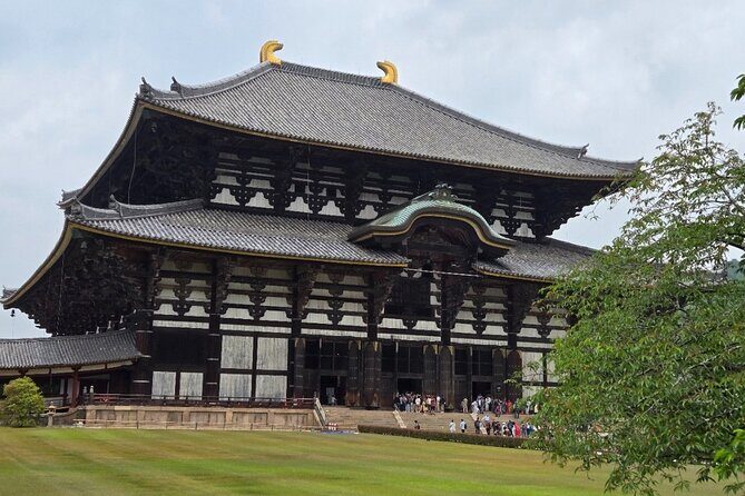 Kyoto to Nara Day Trip 6 Hour Private Tour with Deer and Temples - The Value of a Private Tour