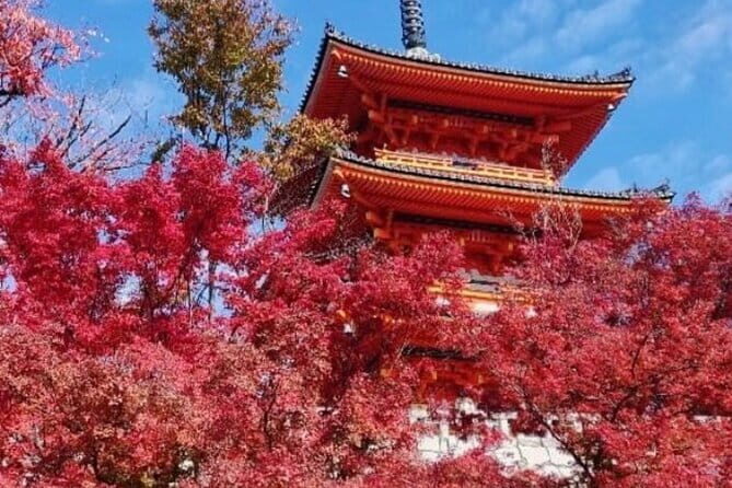 Kyoto tour 12 hours Private Nagoya pick up available - What’s Included and What’s Not