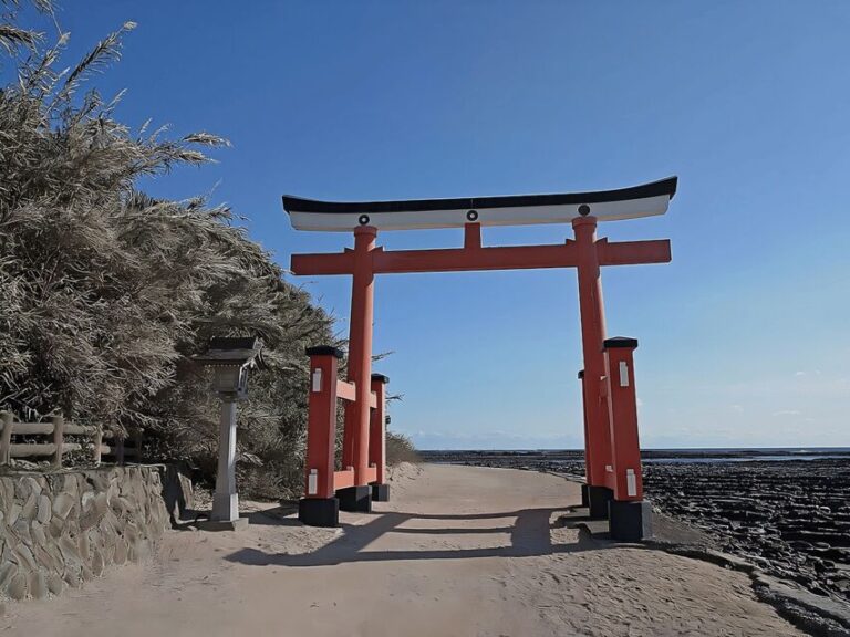 Kyushu 9-hour chartered day trip Miyazaki - What Makes This Tour a Great Choice?