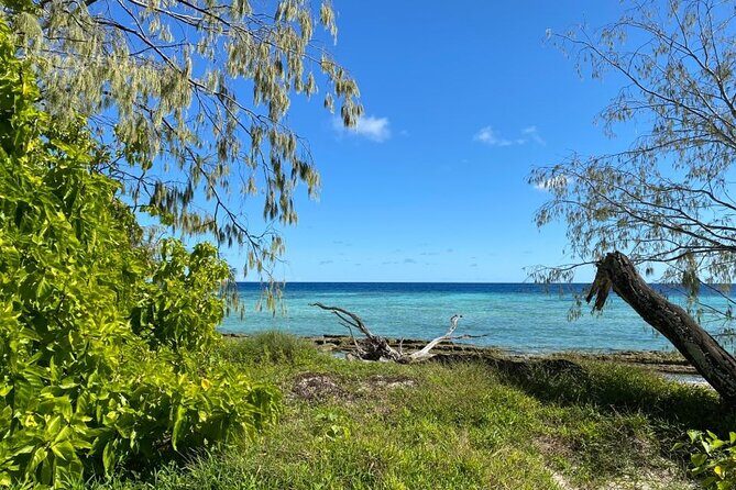 Lady Musgrave Day Trip from Bundaberg Including Snorkeling - The Sum Up