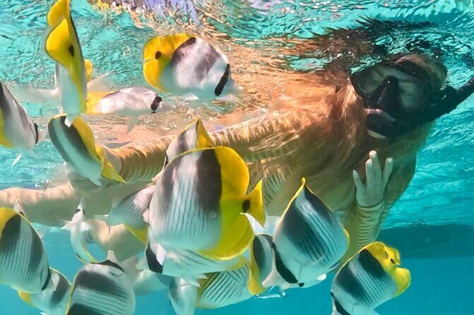 Lagoon and Marine Wildlife Tour in Moorea - Detailed Itinerary Breakdown