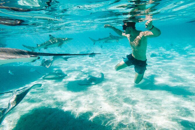 Lagoon and Wildlife Discovery on a Private Boat in Moorea - The Sum Up