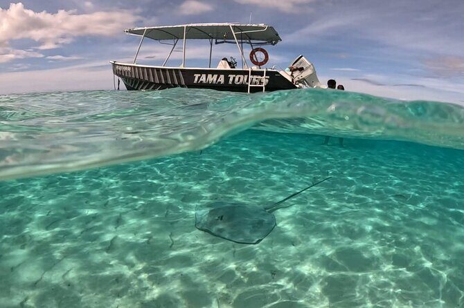 Lagoon Exploration and Snorkeling in Moorea - Respect for Marine Life