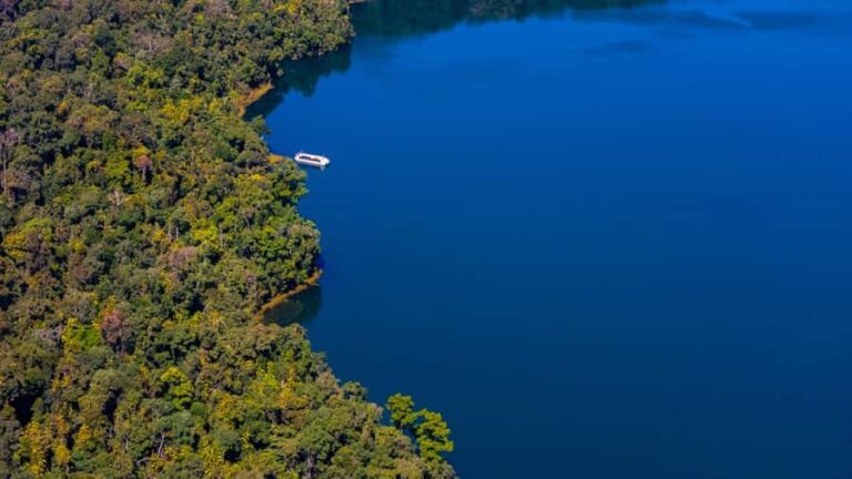 Lake Barrine Boat Cruise Discover Queenslands Hidden Gem - The Scenic Surroundings