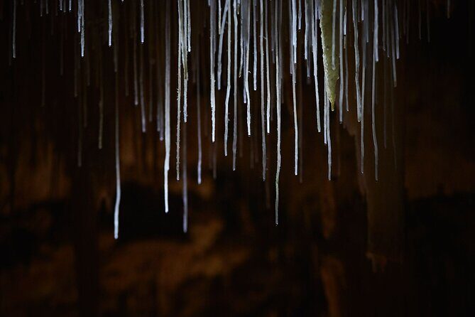 Lake Cave Fully Guided Tour - Why This Tour Works Well for Travelers